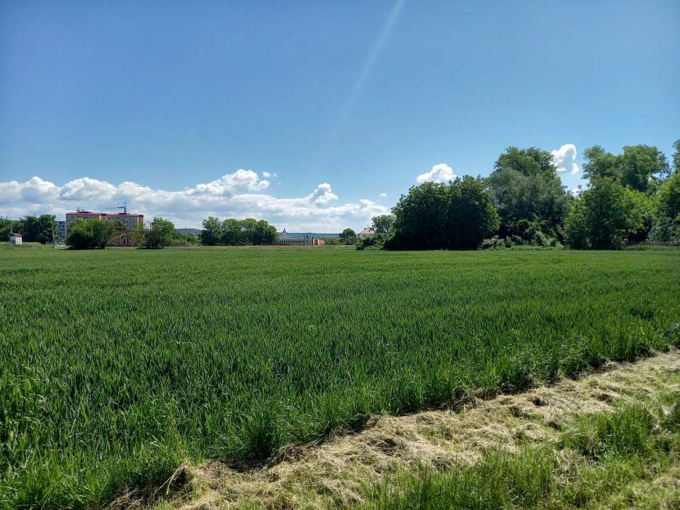 Trávníky za dráhou